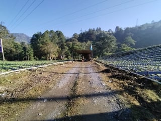 OPORTUNIDAD DE INVERSIÓN EN TACTIC, ALTA VERAPAZ - 3