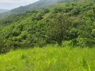 Finca en venta en Sanarate, El Progreso - Image 2
