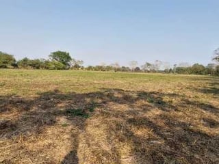 Terreno en Venta  Carretera Antigua Puerto  San José - Image 11