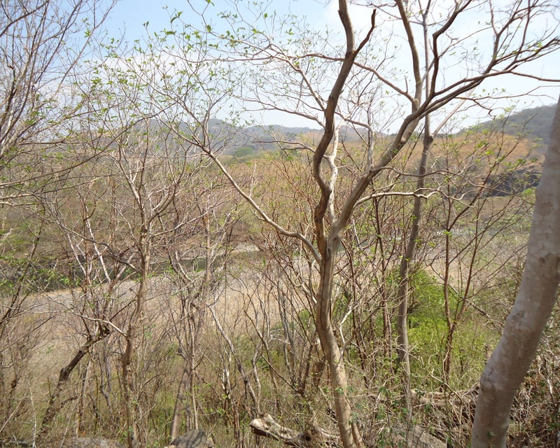 PROYECTO HIDROELECTRICO LA ANGOSTURA GUATEMALA-EL SALVADOR