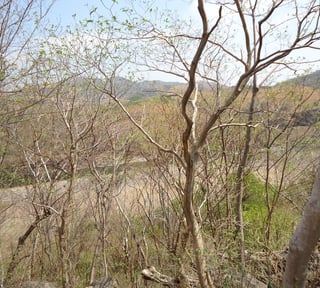 PROYECTO HIDROELECTRICO LA ANGOSTURA GUATEMALA-EL SALVADOR