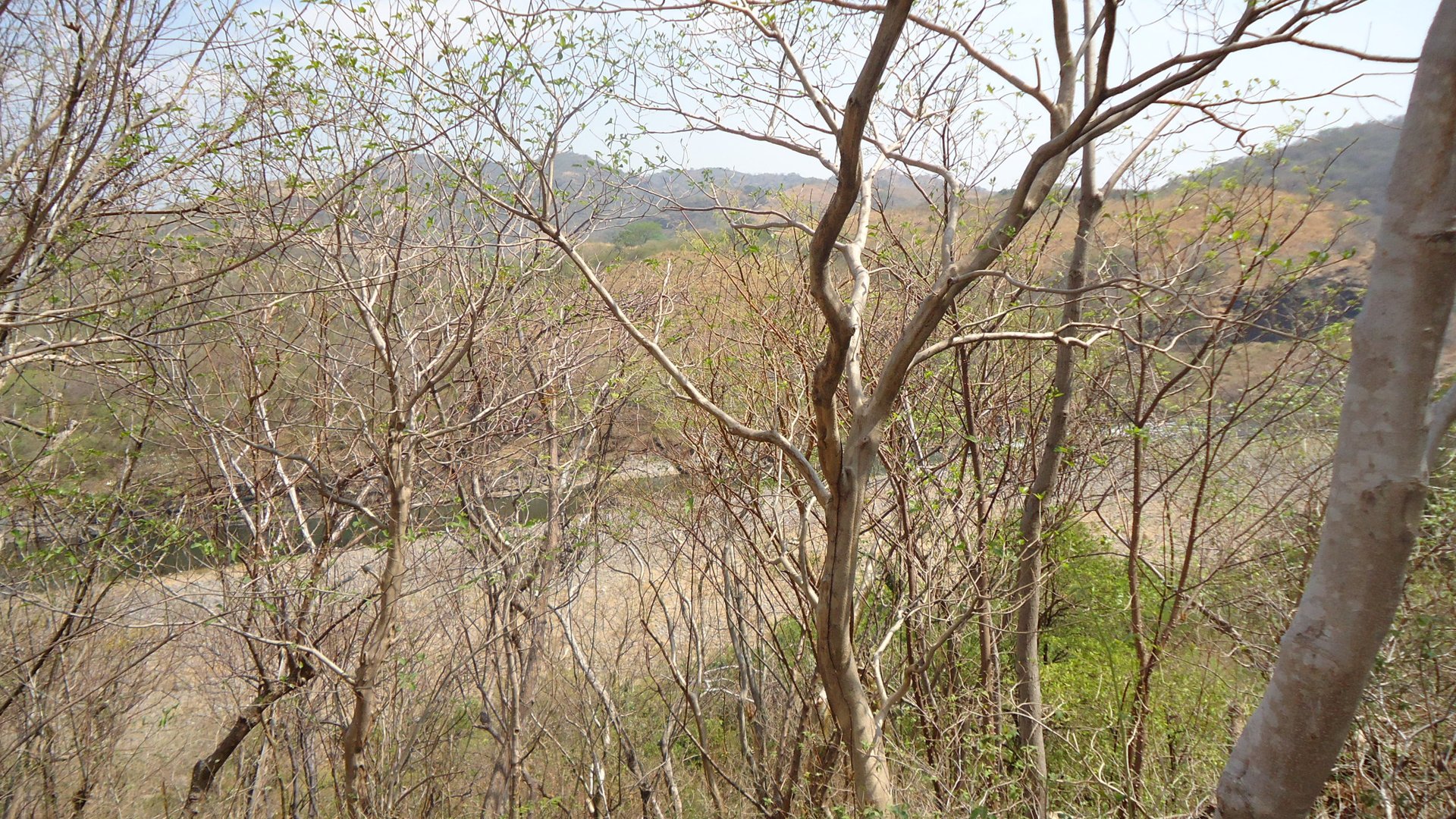 PROYECTO HIDROELECTRICO LA ANGOSTURA GUATEMALA-EL SALVADOR