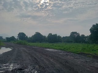 Finca en Venta Agricola o inmobiliaria Escuintla - 2