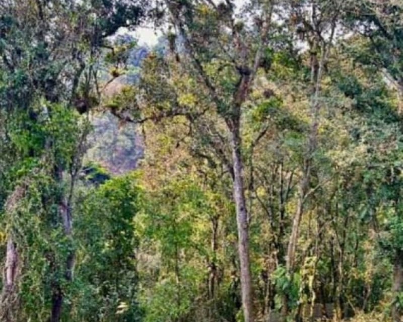 Terreno en Venta en Santa Catarina Pinula - CAES