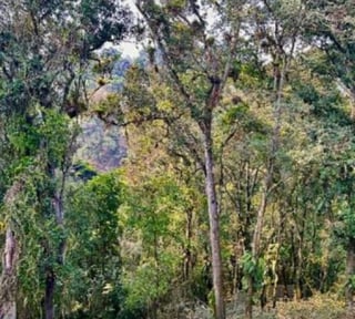 Terreno en Venta en Santa Catarina Pinula - CAES