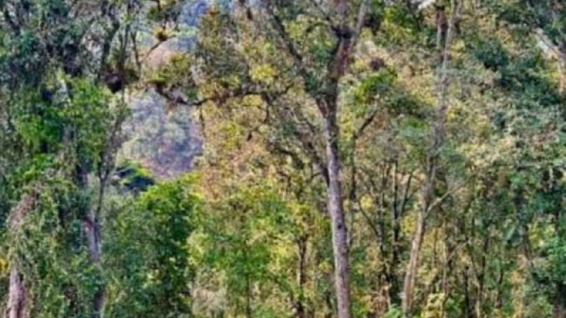 Terreno en Venta en Santa Catarina Pinula - CAES