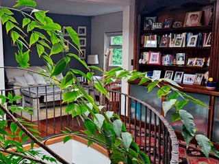 Casa en venta en Zona 16, Ciudad de Guatemala - 3