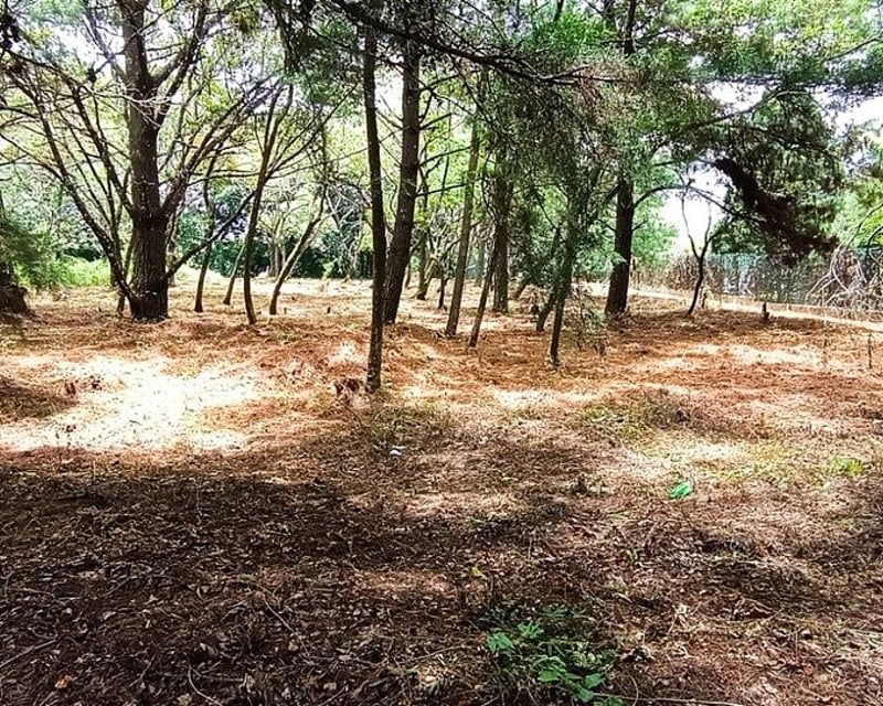 Terreno en VENTA en  Casa y Campo