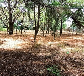 Terreno en VENTA en  Casa y Campo