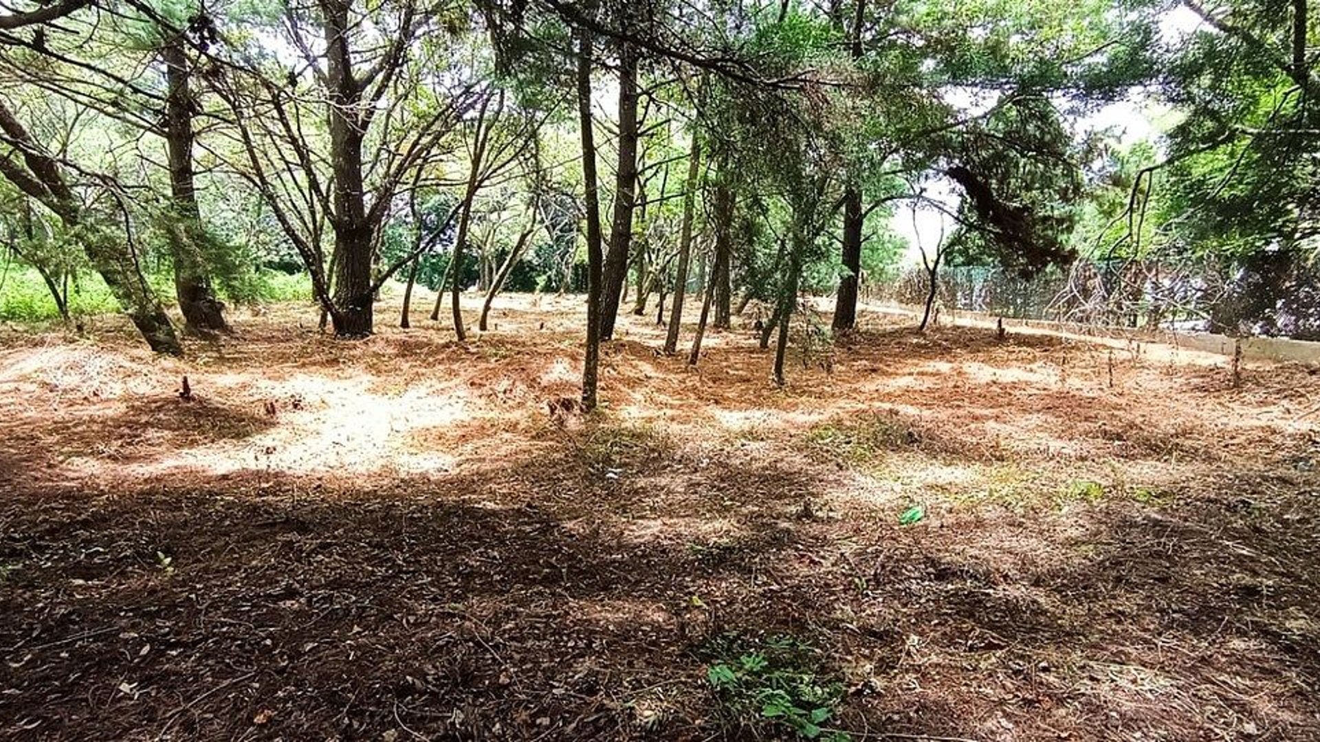 Terreno en VENTA en  Casa y Campo