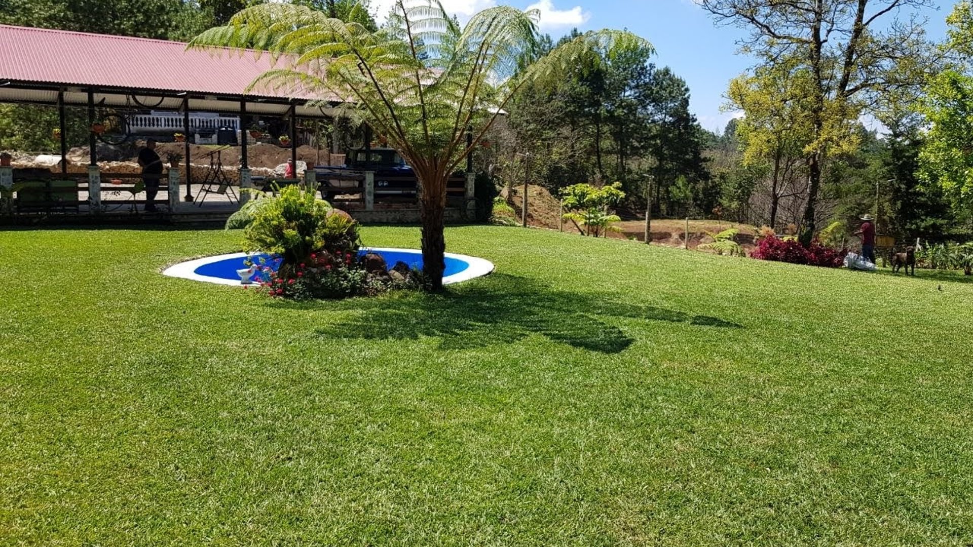 Finca comercial 26 manzanas en Venta en la Verapaces  - Miniatura 21
