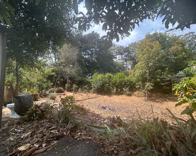 Venta de terreno rustico en San Lucas