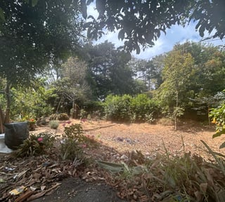Venta de terreno rustico en San Lucas