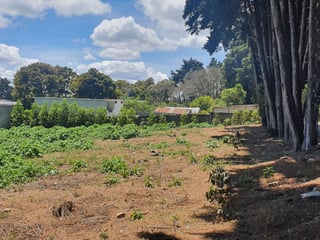 Terreno en venta, CES km 22.8 - 5