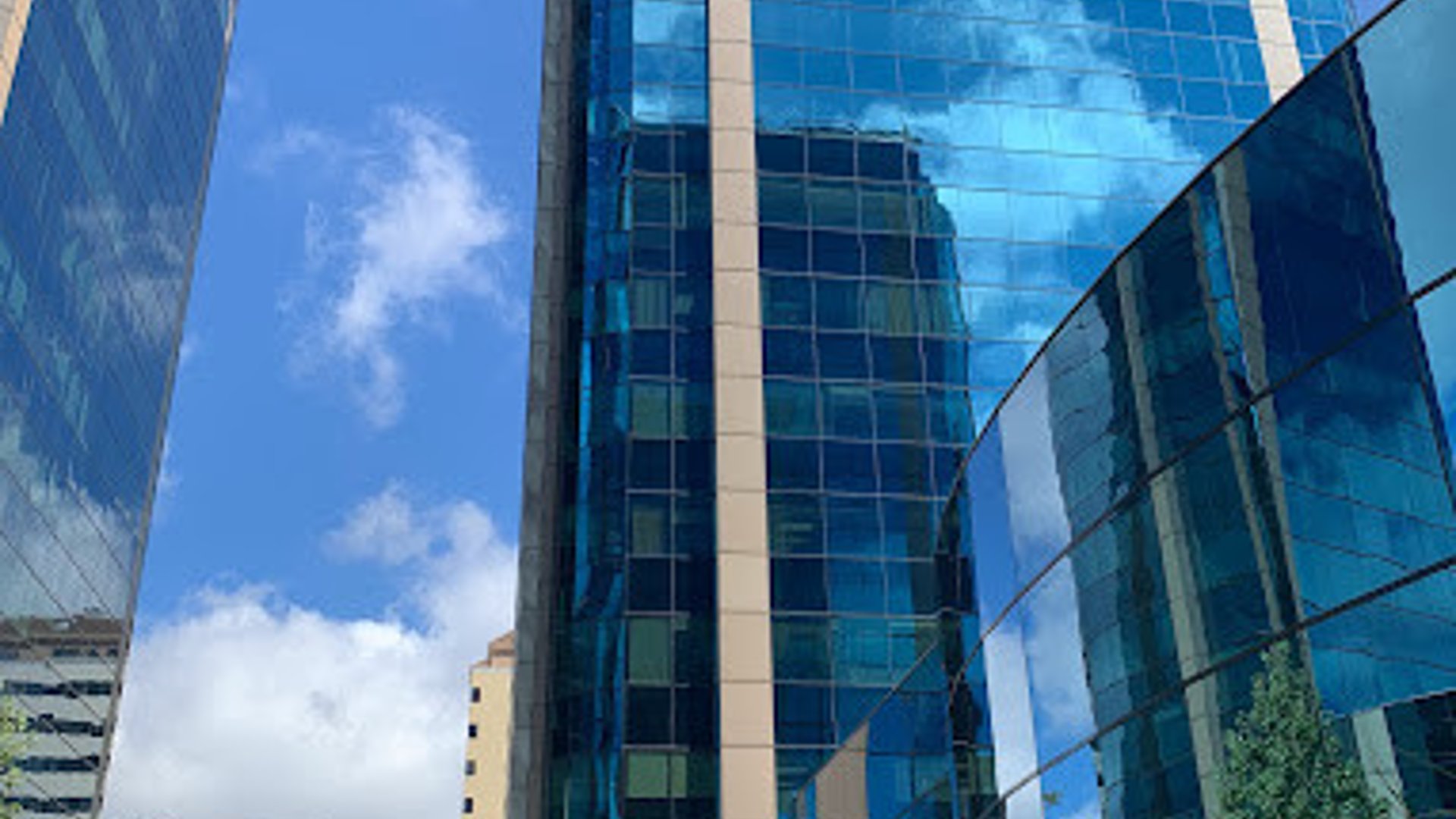 Oficinas en renta EUROPLAZA  Zona 14