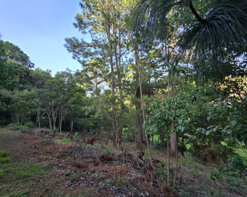 En venta exclusivo Terreno en zona 16 el Pulte Ecuestre