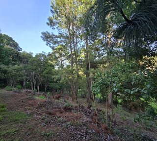 En venta exclusivo Terreno en zona 16 el Pulte Ecuestre