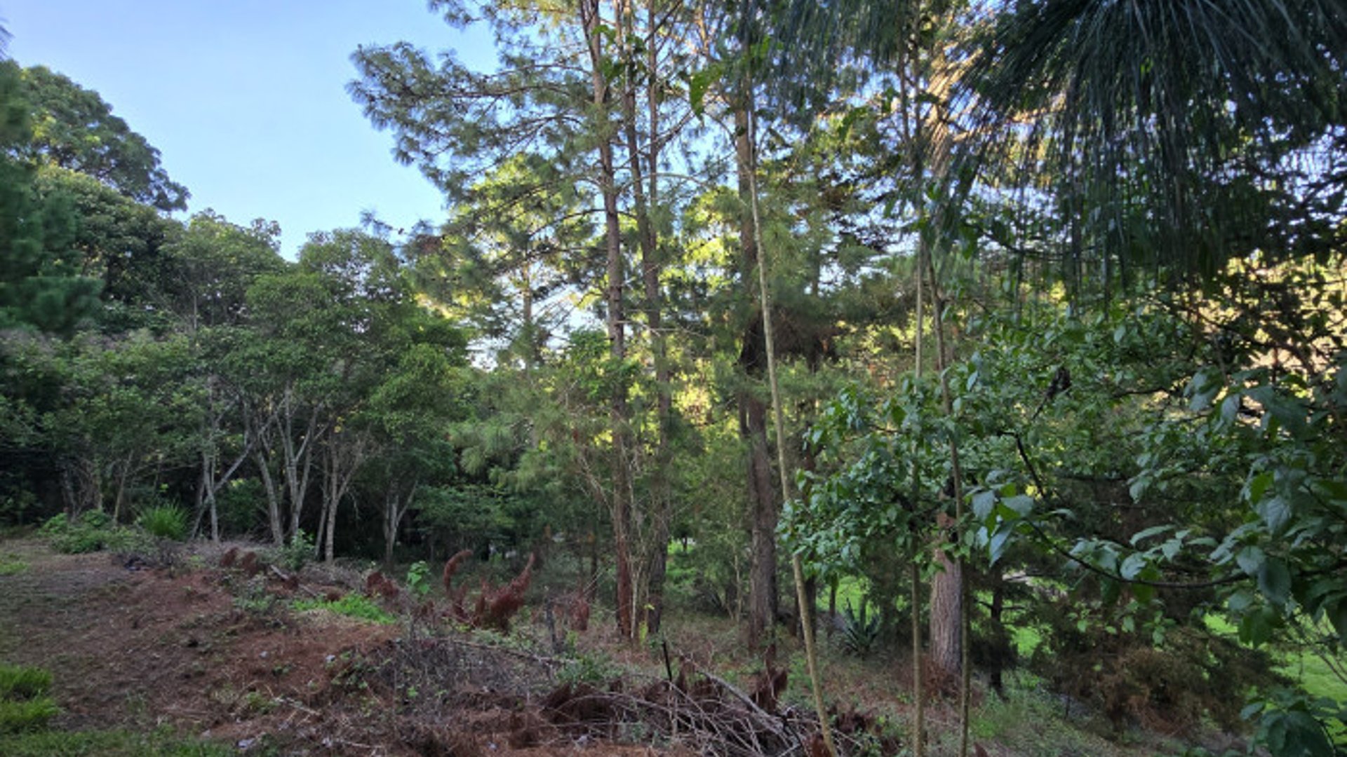 En venta exclusivo Terreno en zona 16 el Pulte Ecuestre