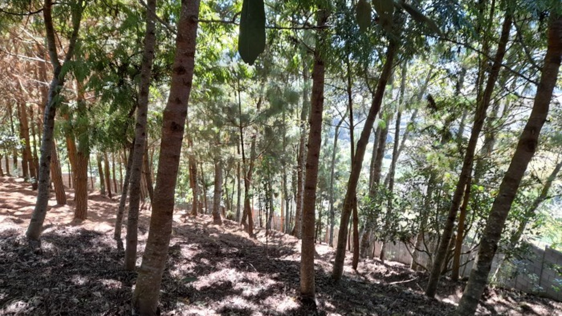 Oportunidad Propiedad En Venta Carretera a Yepocapa - Miniatura 5
