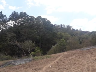 Terreno en Venta en Km 10 Carretera al Atlántico, de 16 manzanas  - Image 1