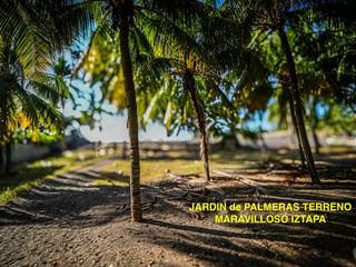 Terreno en Venta en Iztapa, Escuintla  - 2