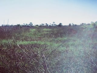 Terreno en Venta Taxisco, Santa Rosa, Guatemala - 2