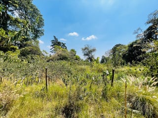 VENTA DE AMPLIO TERRENO - EL ENCINAL, ZONA 7 DE MIXCO  - Image 6