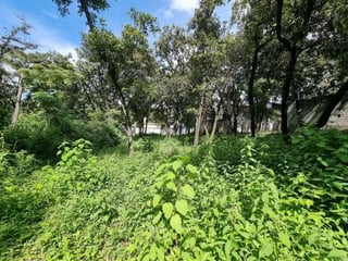 Terreno de 22,755 Vrs² en Venta en Las Hojarascas Mixco - 2