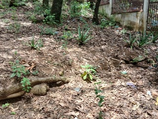 Terreno en venta en Ciudad San Cristobal - Image 5