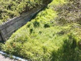 Terreno en Venta Terravista Coventry Carr a El Salvador - Image 2