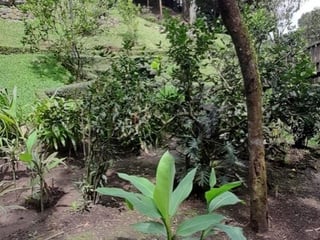 Terreno en venta en Villa Toscana zona 16 - 5