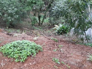 Terreno en Venta en Urbanización Las Cumbres, Zona 16 - 2