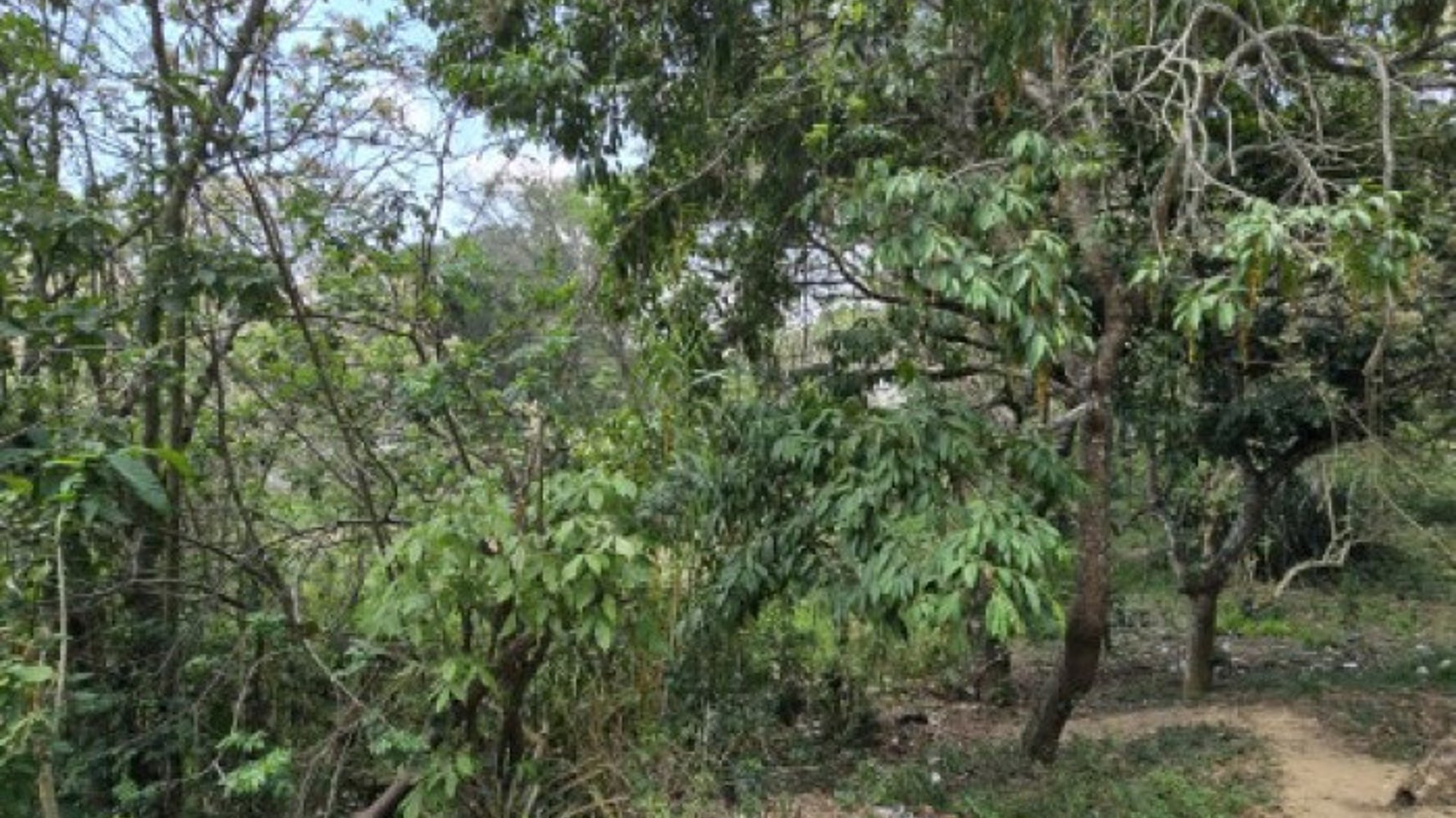 Terreno en Venta Aldea El Durazno, Chinautla - Miniatura 9