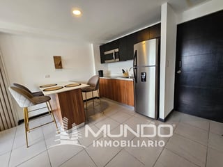 APARTAMENTO AMUEBLADO EN VENTA EN ZONA 14 - 3