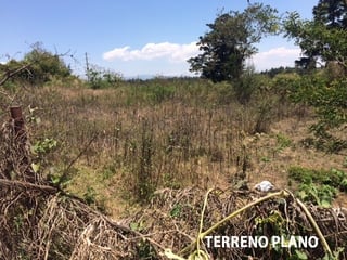 Precioso Terreno de 2,630 Vrs2 en condominio San Nicolás, CES - 5