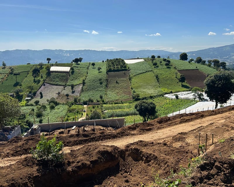 VENTA DE TERRENOS CAMPESTRES EN SUMPANGO