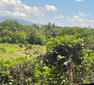 TERRENO en VENTA en Escuintla