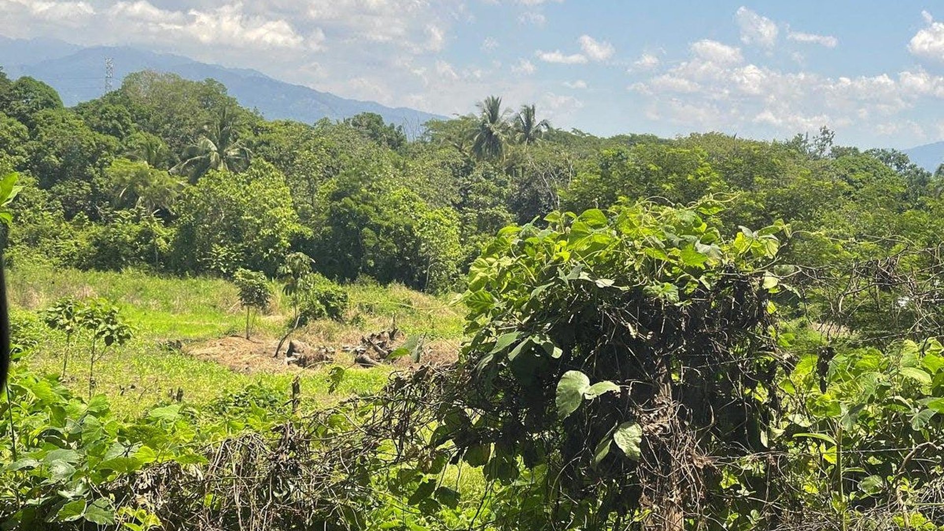TERRENO en VENTA en Escuintla