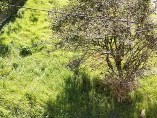 Terreno en Venta Terravista Coventry Carr a El Salvador - Image 4