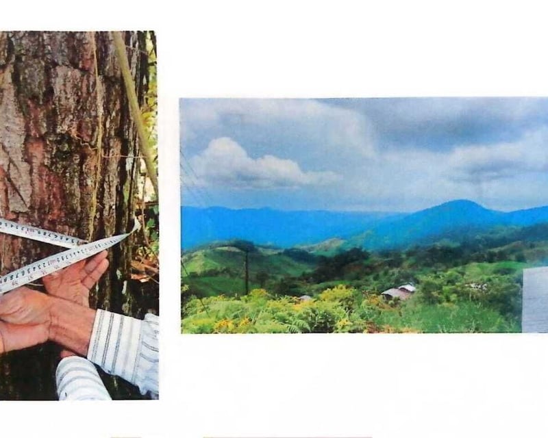IZABAL/ Finca con minerales, árboles y Agua en Venta