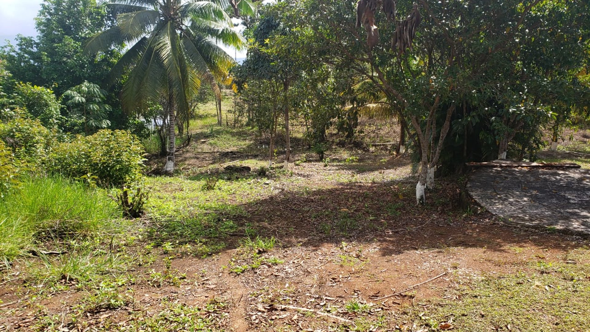 Propiedad en venta, Rio Dulce - Miniatura 16