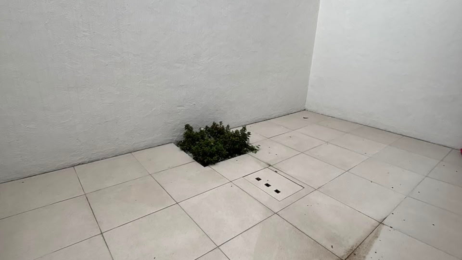 Apartamento en Alquiler Edificio La Barranca, zona 15 VH1 - Miniatura 4