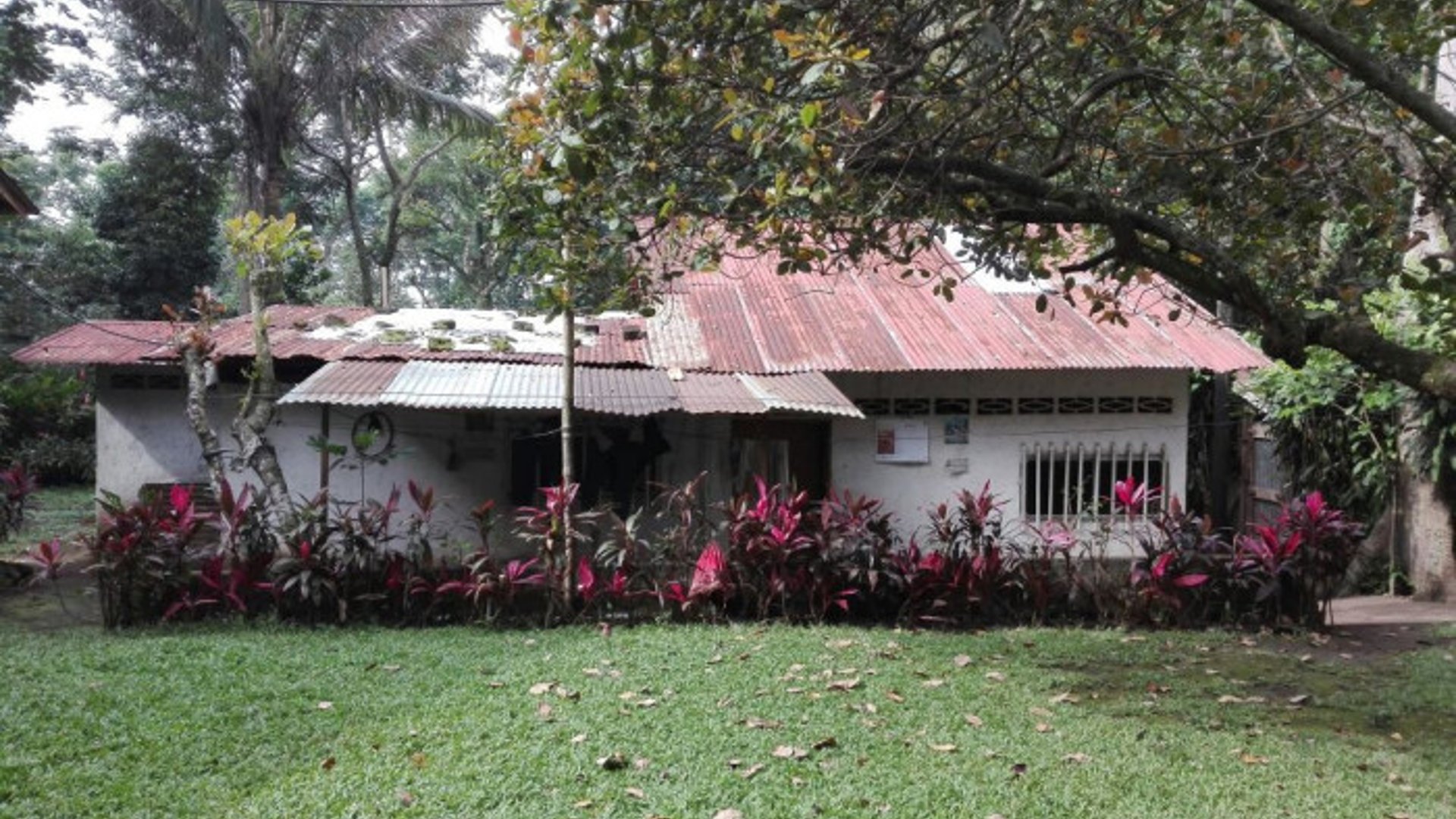 Finca en venta 8.5 manzanas Mazatenango Suchitepéquez - Miniatura 2