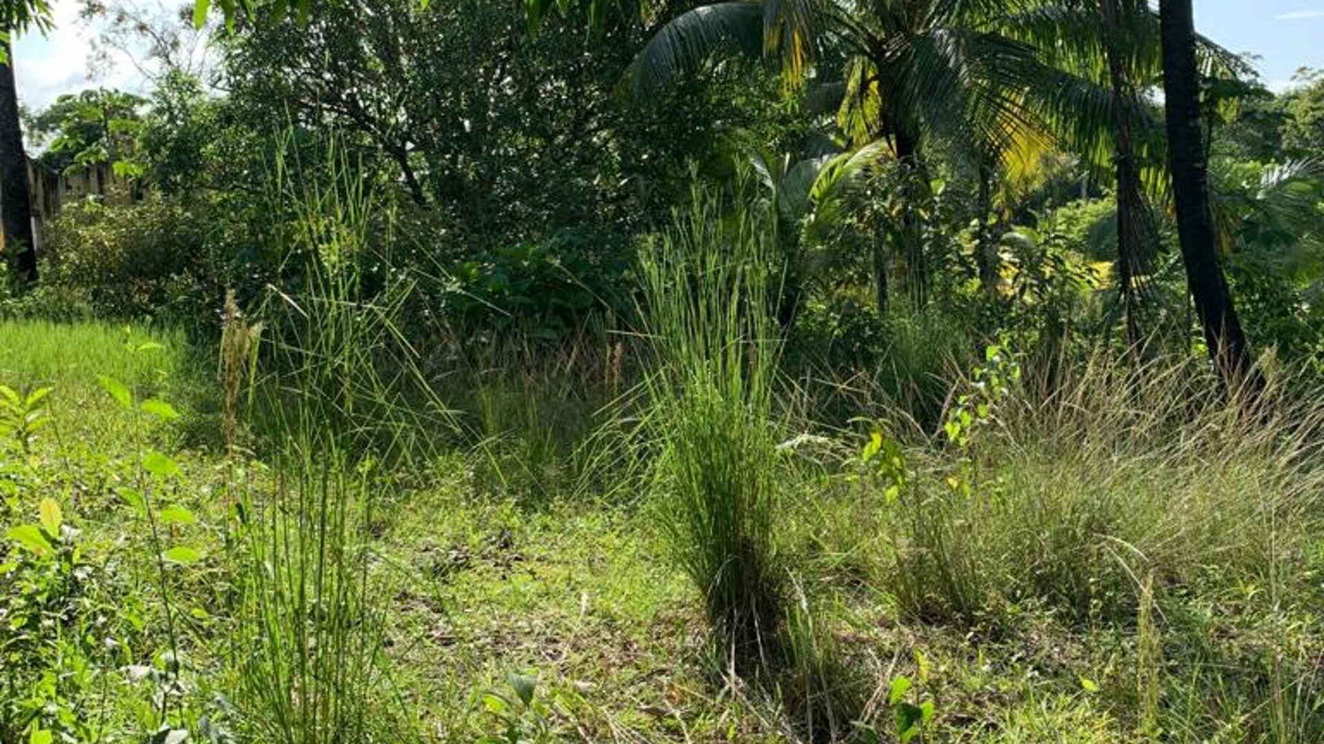 Propiedad en venta, Rio Dulce - Miniatura 6