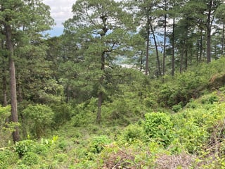 Terreno en Venta en Vista Hermosa IV, zona 16 15,000 v2 - 5