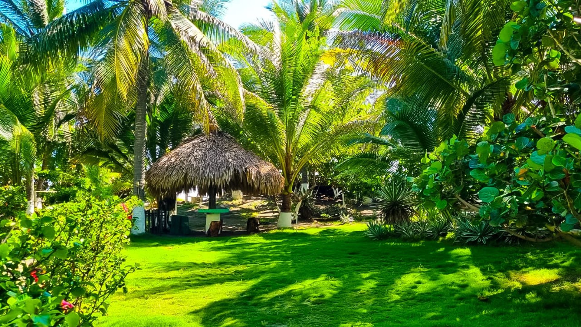 Casa en Venta en Playa Las Lisas, Santa Rosa - Miniatura 10