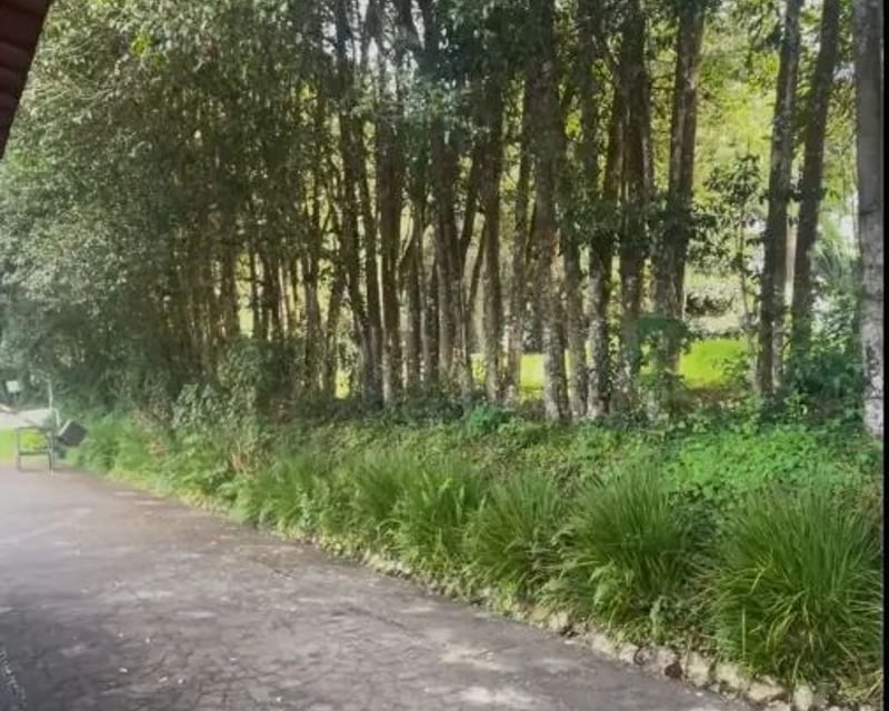 Terreno en Venta – Arrazola III
