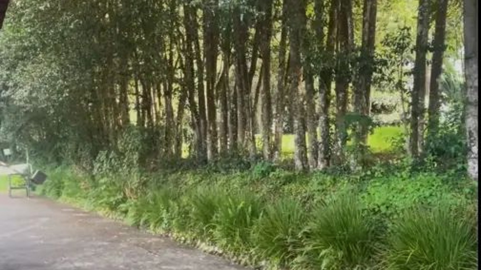 Terreno en Venta – Arrazola III