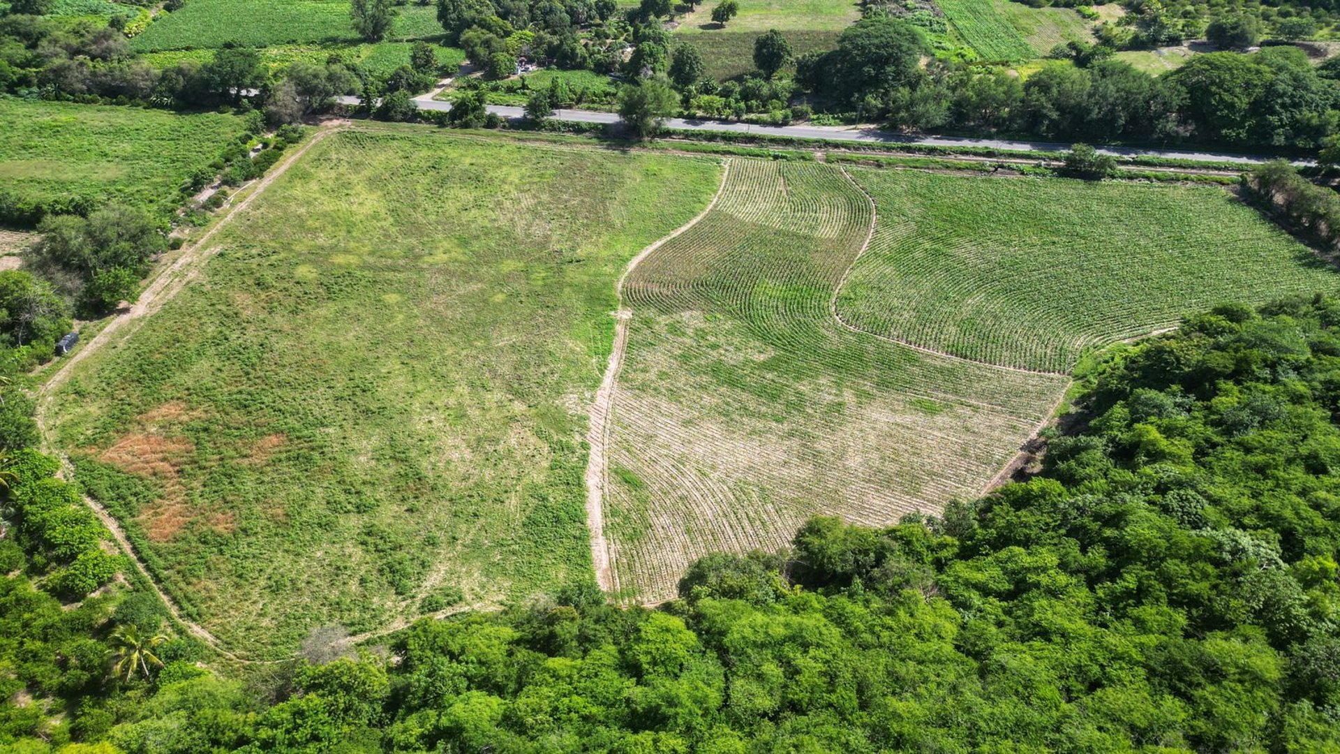 Terreno en venta, en El Progreso - Miniatura 10