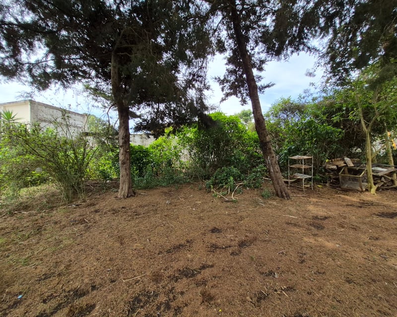 RENTA Terreno Comercial o Industrial Sobre Carretera San José Pínula 
